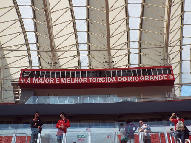 融入与提升 融入与提升